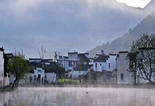 上海生态宜居新地标：绿色家园新选择